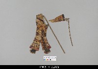 藏品(中國湖北皮影戲偶身)的圖片